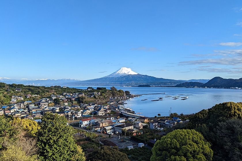 木負地区のみかん山から望む富士山の写真。沼津の三の浦地域は地形上、駿河湾の向こうに富士山が見える場所になっている。